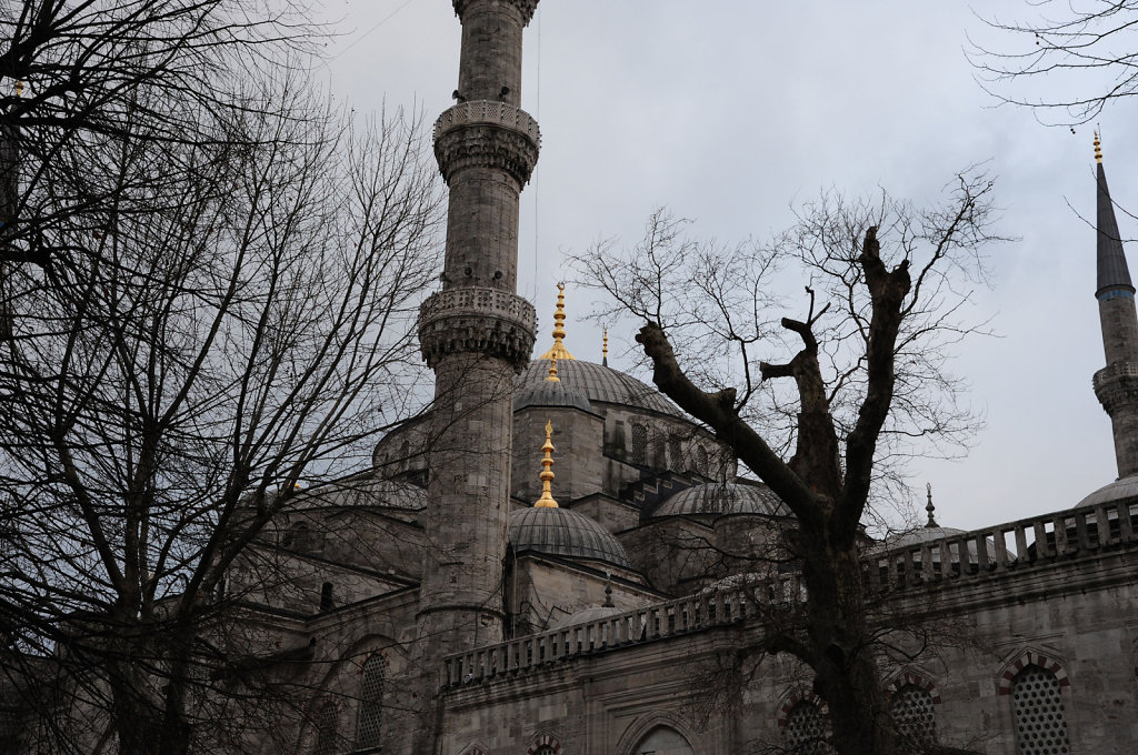 The Blue Mosque II